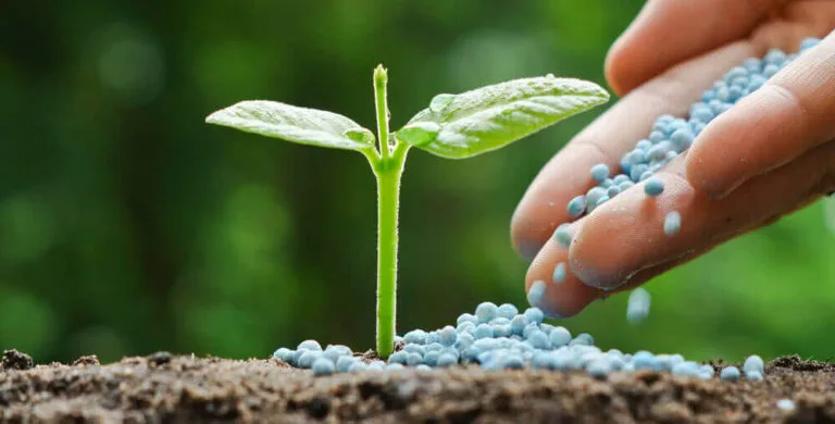 Kothari Plans ₹7,000 Cr Fertilizer Unit, Eyes Qatar Funding