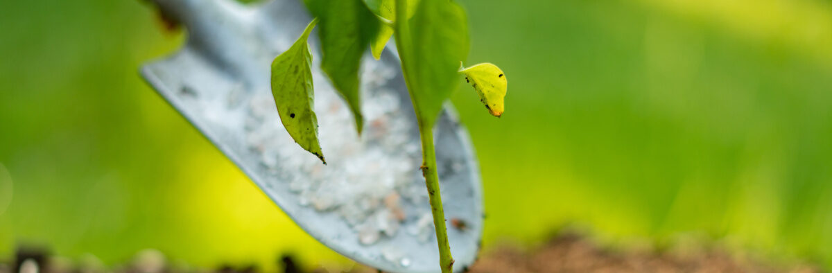 Fertilizer Price