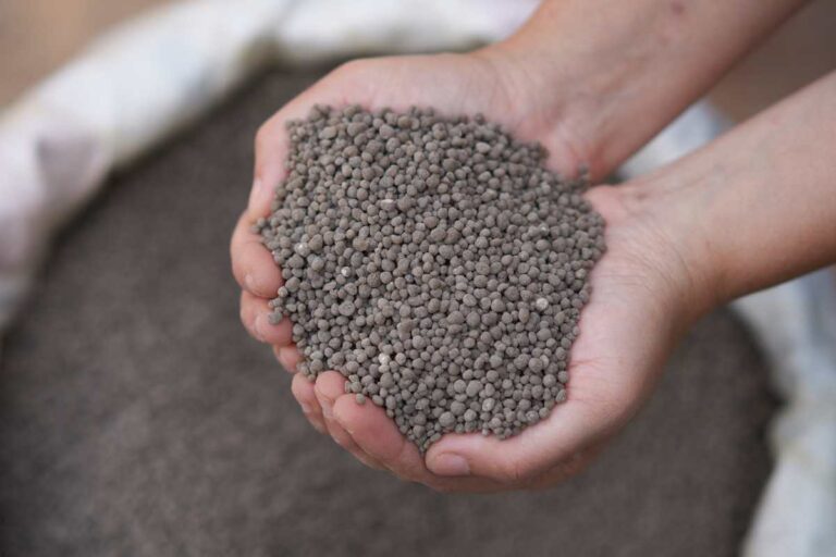 RCF DAP Tender: 50,000 MT Supply Opportunity”