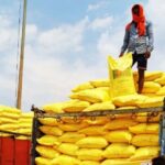 DAP Supply in Rabi Season
