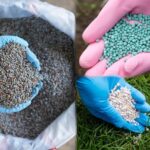 Fertilizer Quality