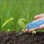 Fertilizer Prices