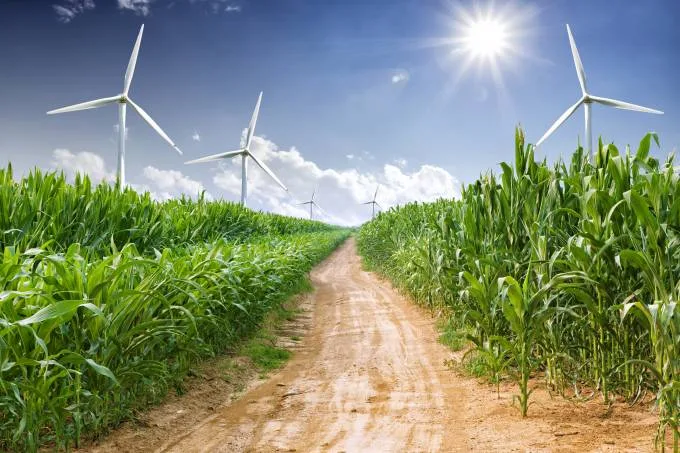 Fertilizer manufacturing emissions