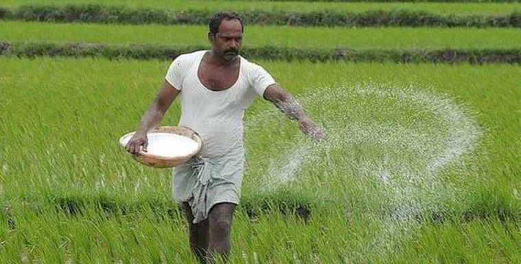 Government Extends DAP Subsidy Beyond 2024 to Support Farmers
