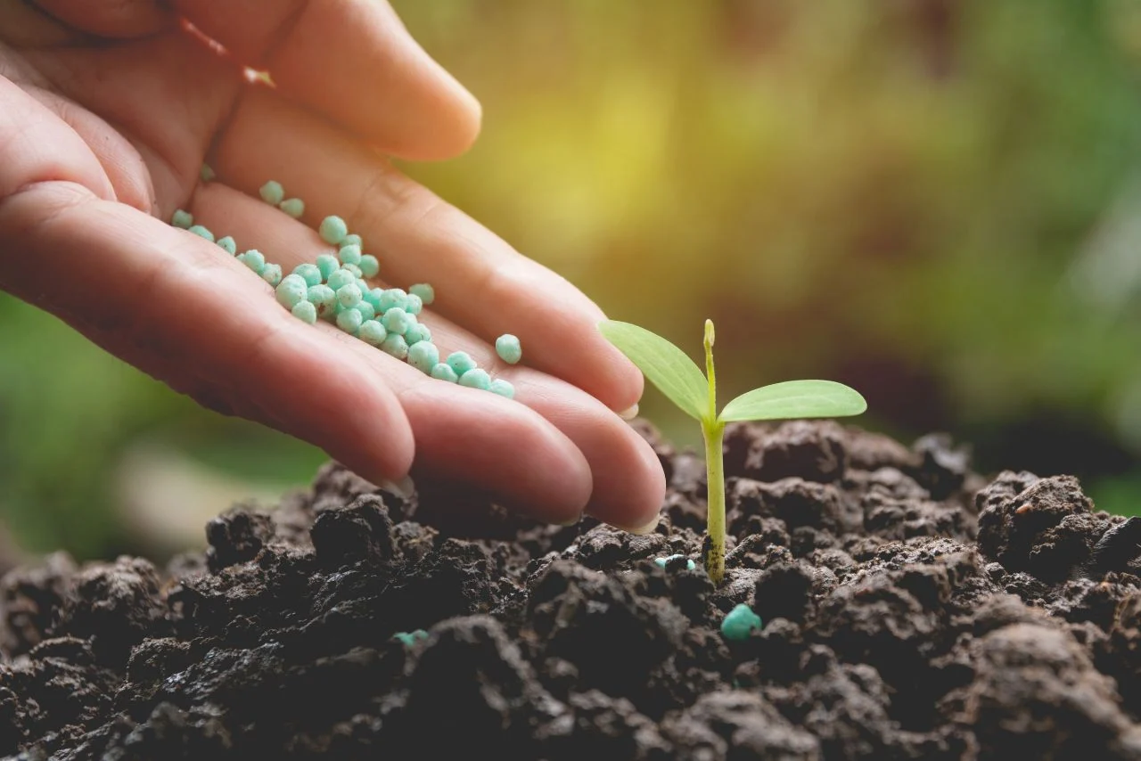 Fertilizer Stocks