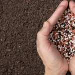 Pacific Northwest Fertilizer Prices