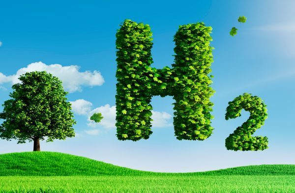 India Green Hydrogen Sector