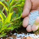 Fertiliser GST reform
