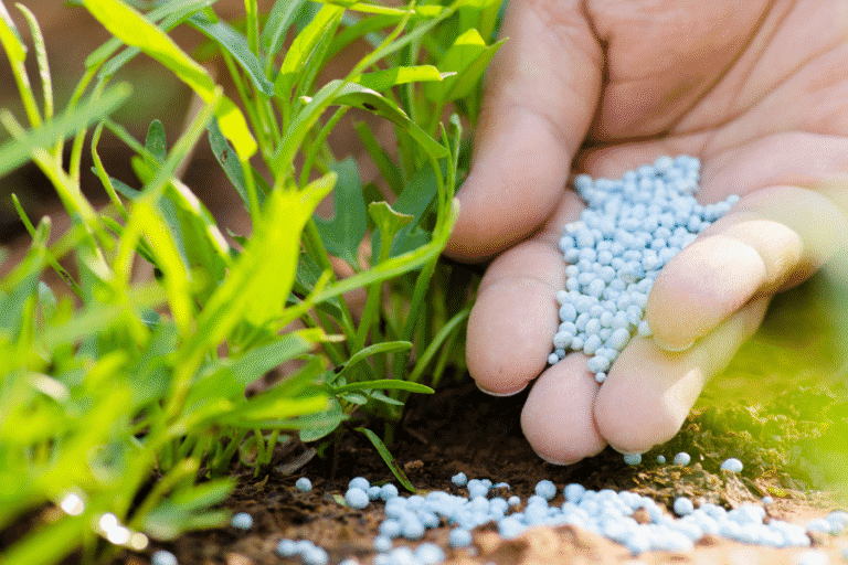 Fertiliser GST reform