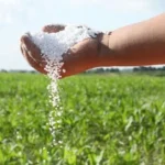 Brazil fertilizer production 2036