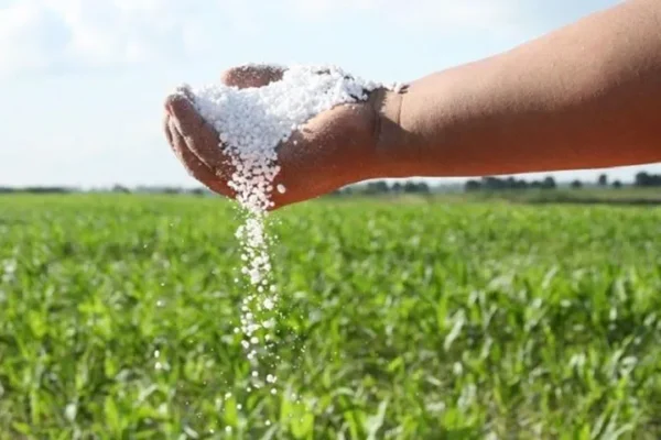 Brazil fertilizer production 2036