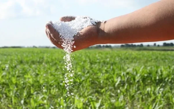 Brazil fertilizer production 2036