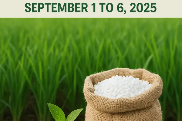 Indian Fertilizer Market Weekly Report – September 1 to 6, 2025