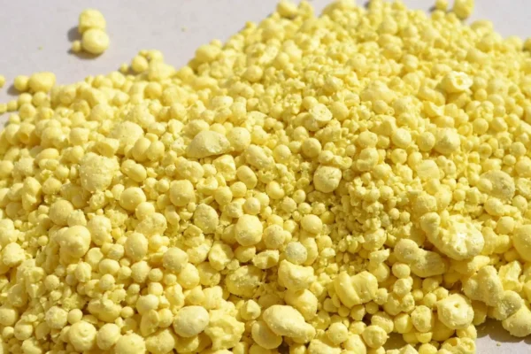 FACT crude sulphur tender