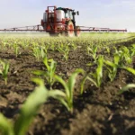 Indian fertilizer news