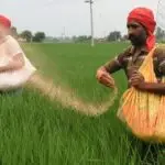 fertilizer supply crisis in India