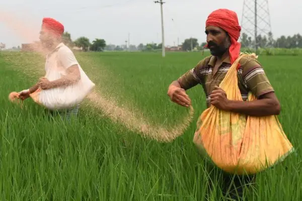 fertilizer supply crisis in India