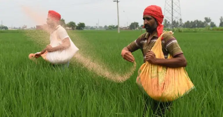 fertilizer supply crisis in India
