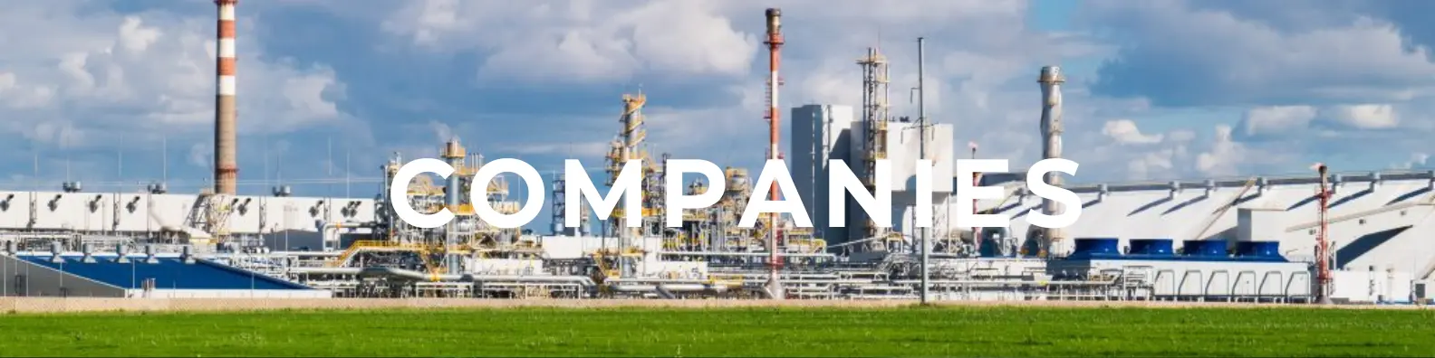 fertilizer companies in India