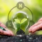 Fertilizer Market Report
