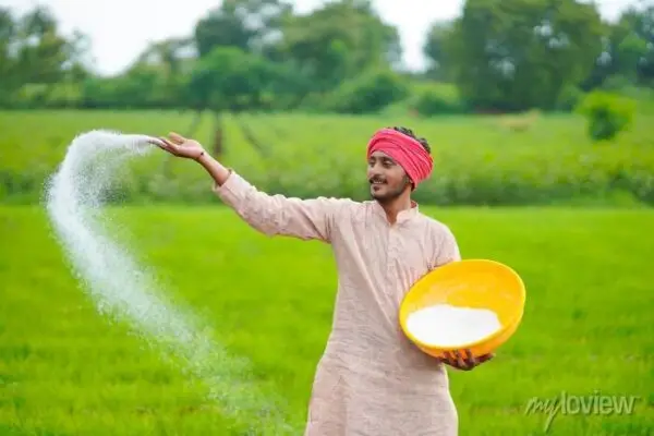 India fertilizer