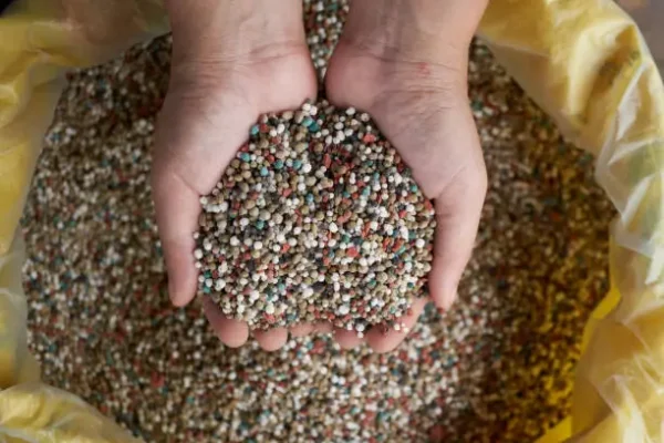 NPK fertilizer import tender India 2025