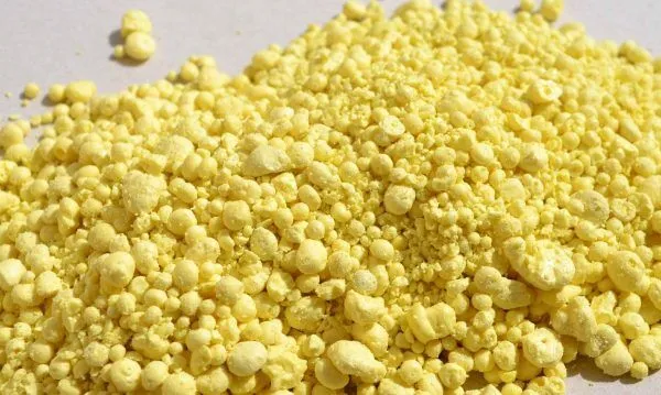 “Global sulphur market news September 2025 India”