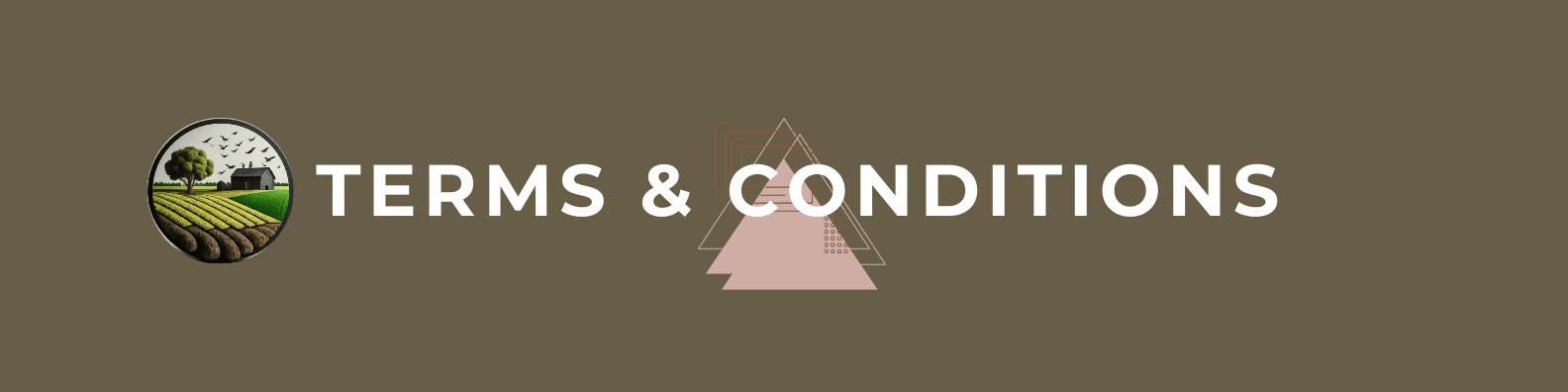 Terms & Conditions