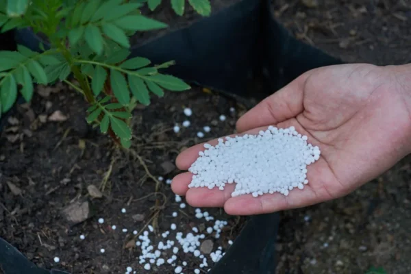 Urea granular bulk price September 2025