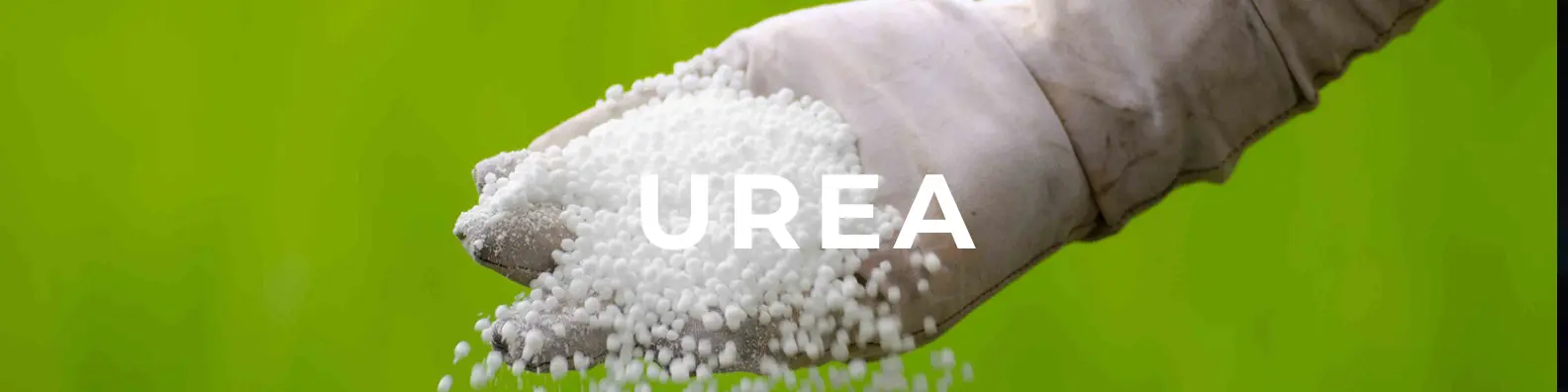 Get the latest India Urea Import Statistics and complete details on Urea Import in India. Explore updated 2025 data, trade insights, and market analysis