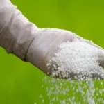 India Urea Tender September 2025