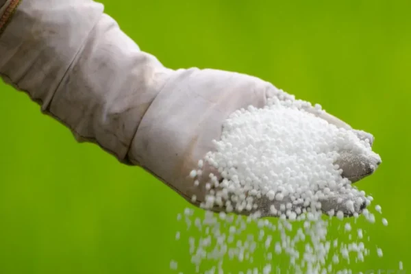 India Urea Tender September 2025