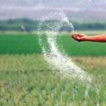 Global Fertilizer Market Report 2025