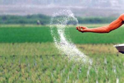 Global Fertilizer Market Report 2025