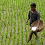 Bangladesh fertilizer import