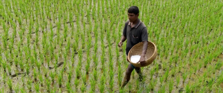 Bangladesh fertilizer import