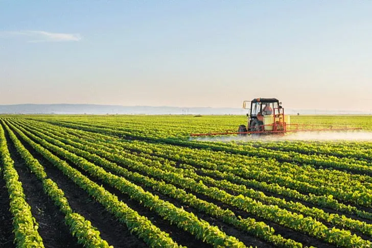 Brazil fertilizer market 2025