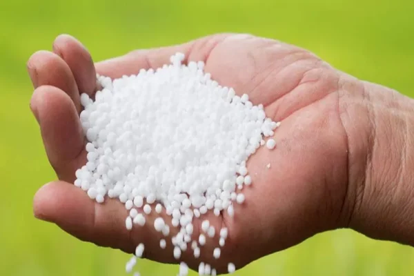 Indian Urea Tender 2025