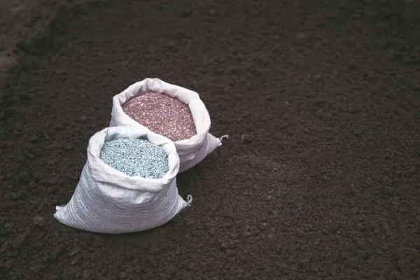 India DAP import update