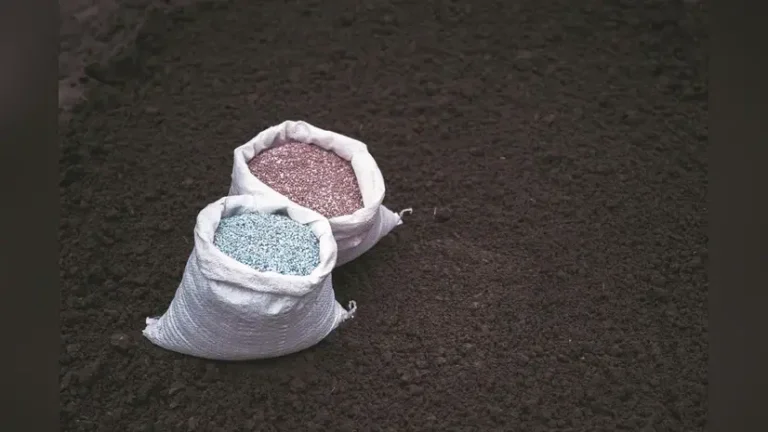 India DAP import update