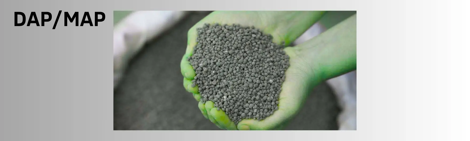 DAP MAP Price