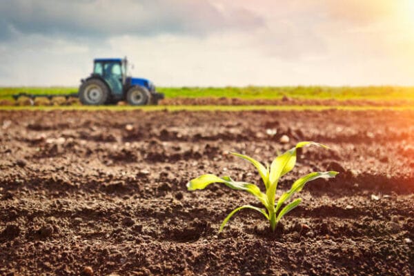 Global fertilizer market outlook 2025