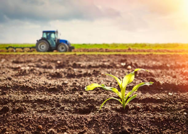 Global fertilizer market outlook 2025