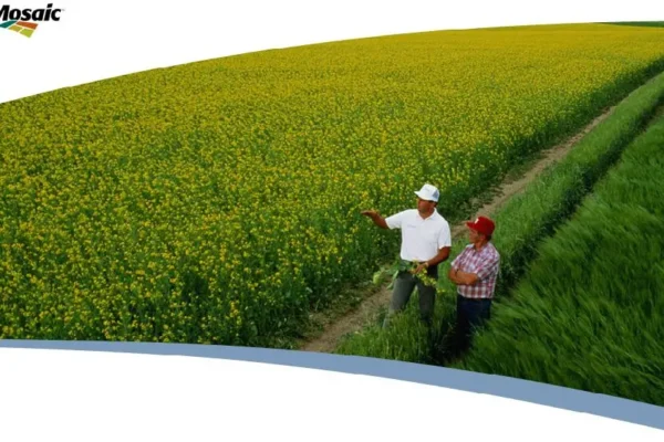 Mosaic Q3 2025 Results