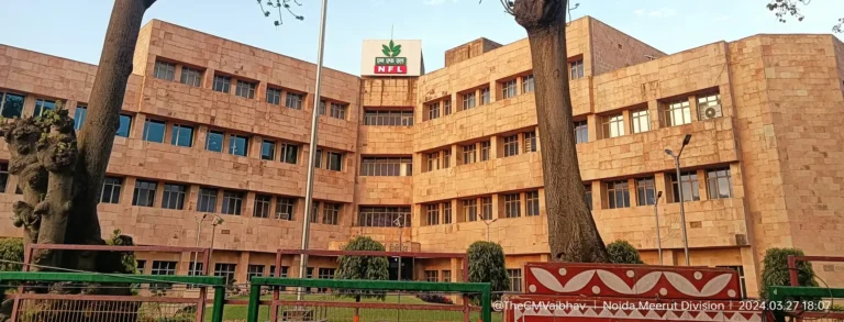 NFL Executive Director Appointment