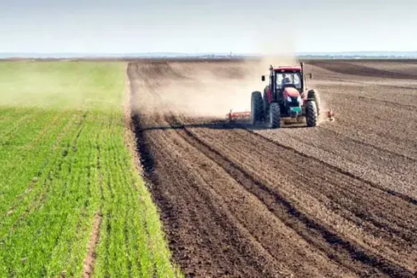 Pakistan DAP inventory update