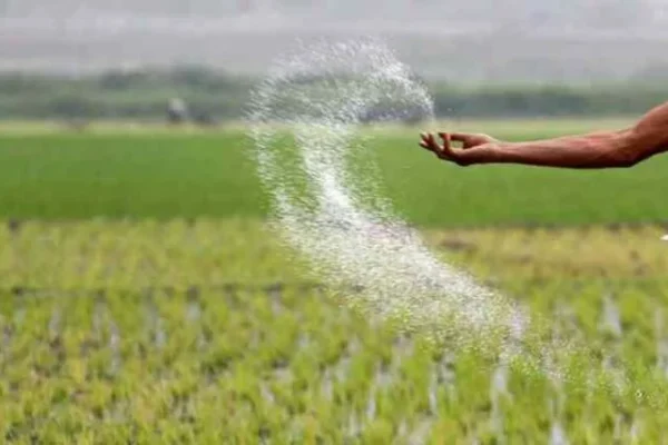 Urea Availability in Kharif 2025