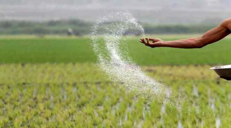 Urea Availability in Kharif 2025