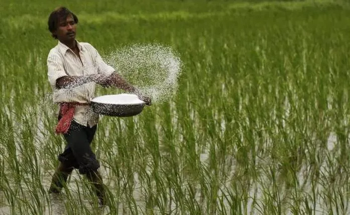 Urea Market Update