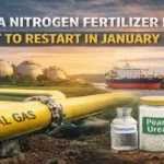 Bahia fertilizer plant restart